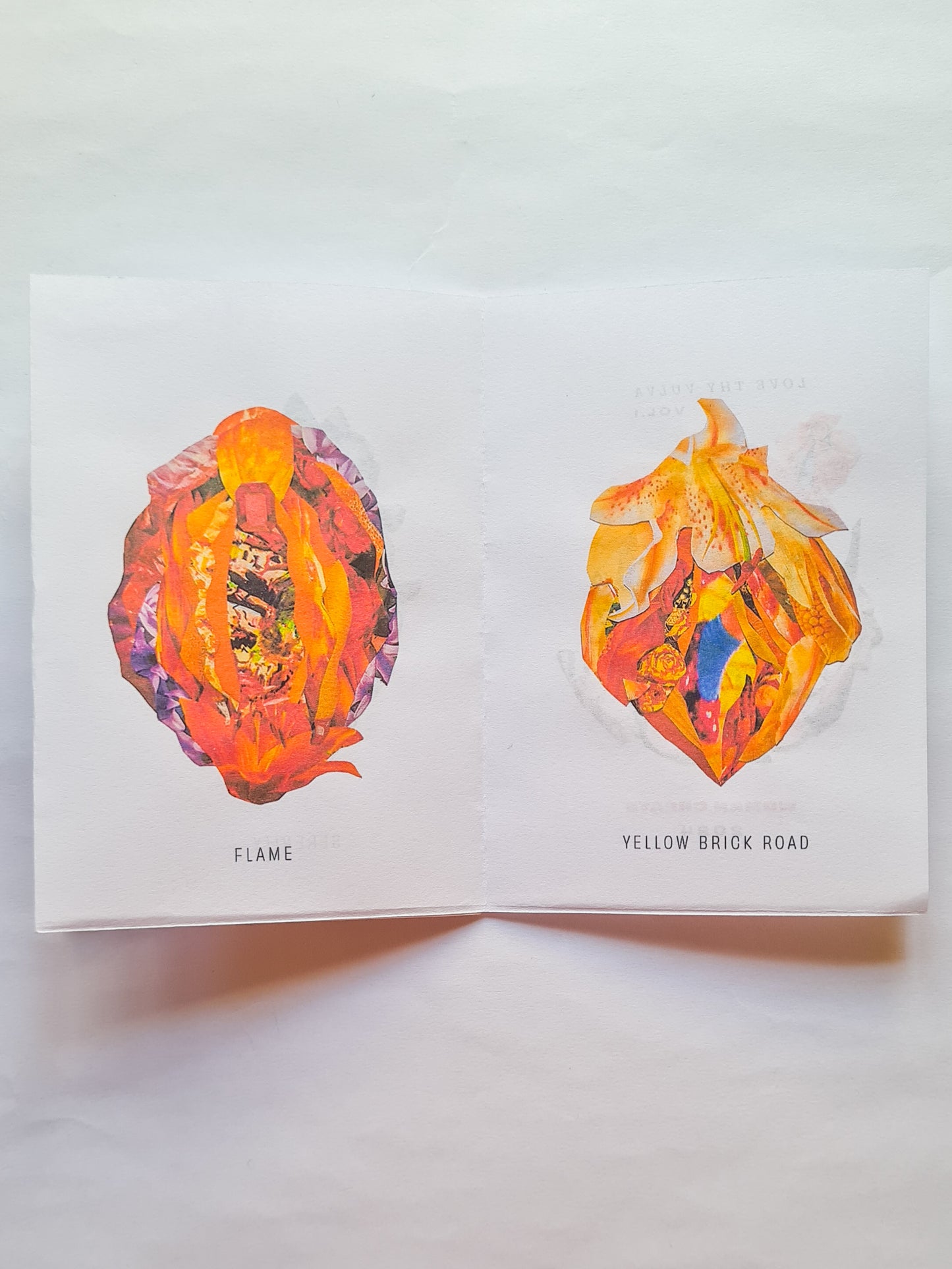 'The VULVA Project vol.1' collage zine - Woman Create