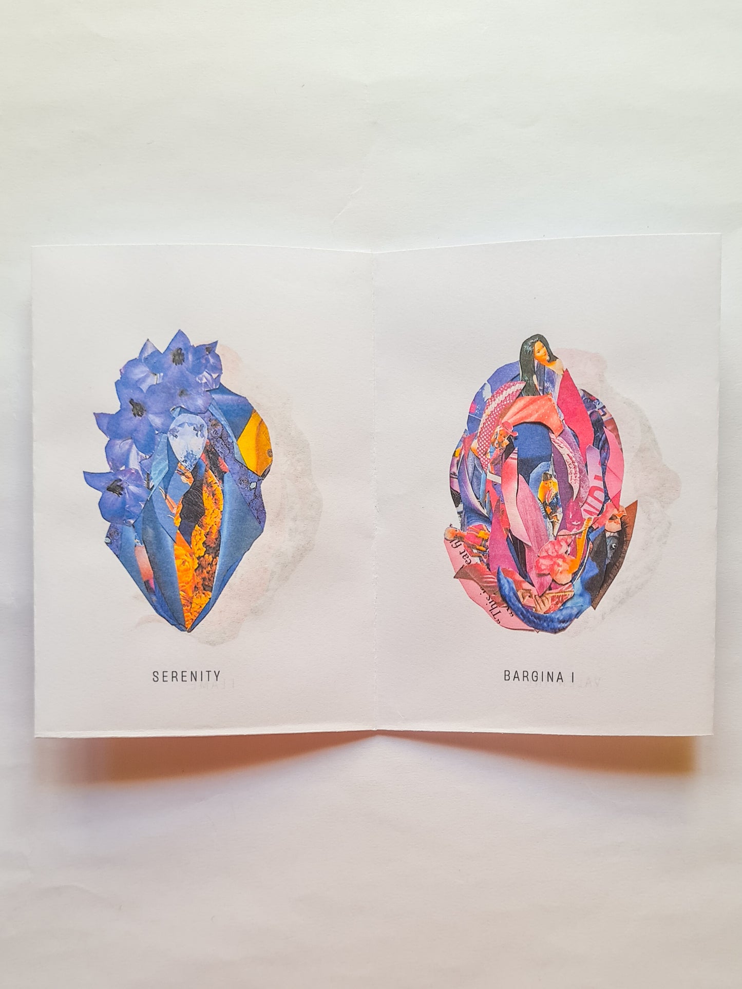 'The VULVA Project vol.1' collage zine - Woman Create