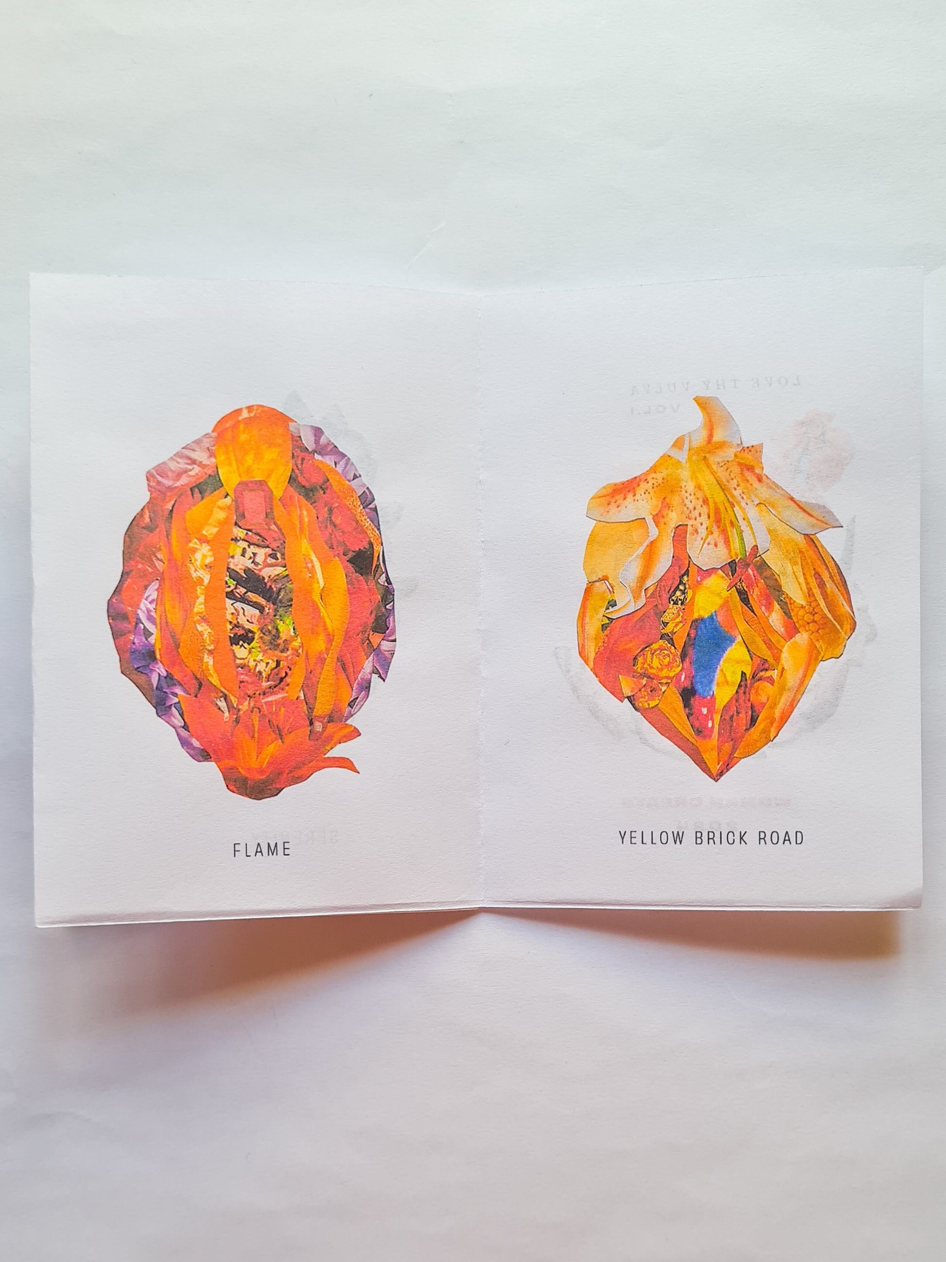 'The VULVA Project vol.1' collage zine - Woman Create